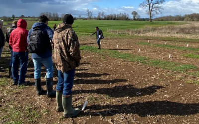 Con éxito se realiza segundo Día de Campo