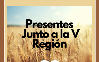 Apoyo a familias damnificadas en incendio de la Quinta Región.